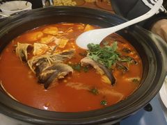 贵州酸汤鱼-贵州大厦贵州厅(樱花园西街店)