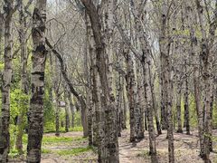 -长春市南湖公园