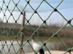 -盐城丹顶鹤湿地生态旅游区