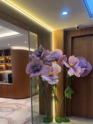 -杭州米兰柏羽医疗美容医院