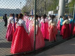 -中央民族大学