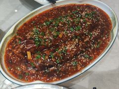 -金龙寨(龙城路店)