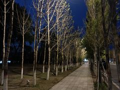 -哈尔滨大剧院