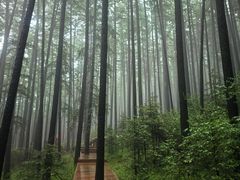 -芦芽山旅游度假区