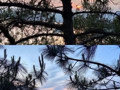 -千岛湖希尔顿休闲艇俱乐部