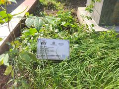 -广州神农草堂中医药博物馆