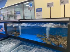 -盒马X会员店(王府井奥莱UP TOWN店)
