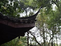 -云栖竹径