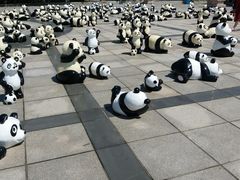 -南戴河国际娱乐中心