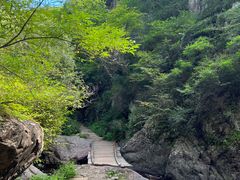 -云岫谷游猎自然风景区