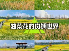 -三圣花乡旅游区