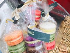 -多乐之日(五道口店)