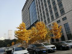 -东北大学(南湖校区)