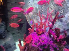 -沈阳海洋探索中心