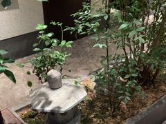 -王府茶楼茶宴·创意菜(朝阳公园店)