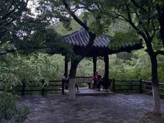 -佛慧山
