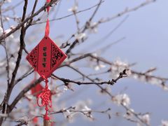 -妙峰山风景名胜区