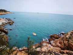 -广东惠东海龟国家级自然保护区
