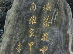 -昆明市金殿名胜区