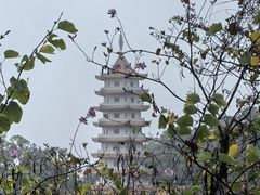 -白云山风景名胜区