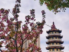 -宝岛公园