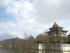 -顺峰山公园