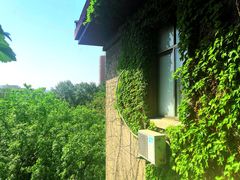 -山东大学(趵突泉校区)