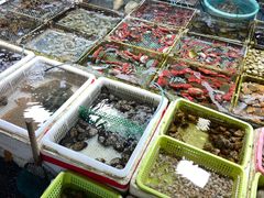 -霞涌市场海鲜摆卖区