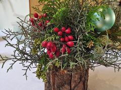 -蝶舍·MAISON PAPILLON