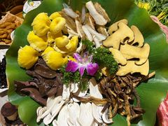 -大理董·董家小厨野生菌火锅(古城旗舰店)