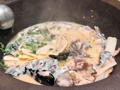 -鲜潭蒸汽石锅鱼(五道口购物中心店)