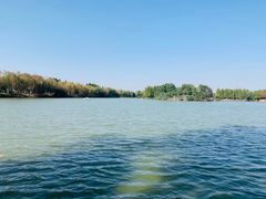 -艾溪湖湿地公园