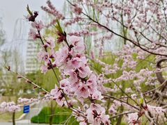 -元大都城垣遗址公园