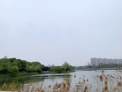 -八大山人梅湖景区
