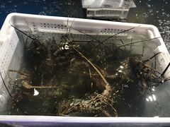 -盒马鲜生(悦峰店)