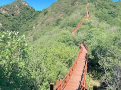 -大岭沟猕猴桃谷风景区