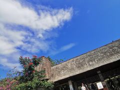 -亚龙湾热带天堂森林公园