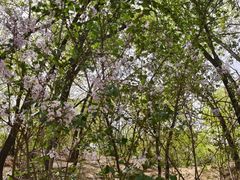 -元大都城垣遗址公园