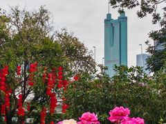 -深圳国际园林花卉博览园