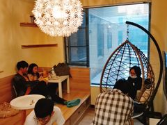 -滚猫咖啡·猫咖·猫友好撸猫(未来城店)