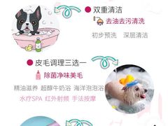 -萌兽医馆·眼科·异宠专科(三里屯店)