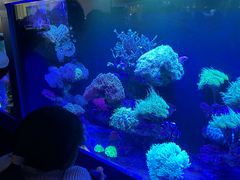 -海合安成都极地海洋公园
