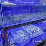 🤩平价东南亚餐馆-星椰叻沙厨房-绝绝子👏🏻