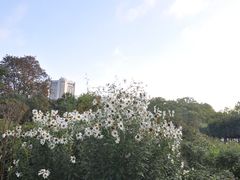 -海德公园