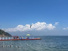 -棒棰岛宾馆景区