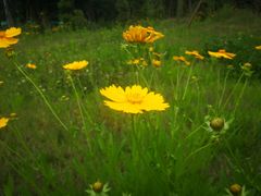 -白鹭湾湿地公园