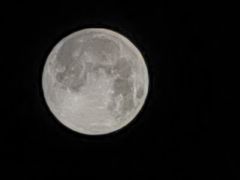 -圣·阿列克谢耶夫教堂