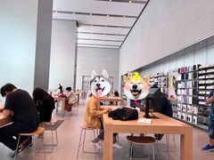 -Apple零售店(华贸购物中心店)