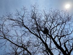 -北京西山国家森林公园