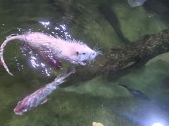 -正佳雨林生态植物园